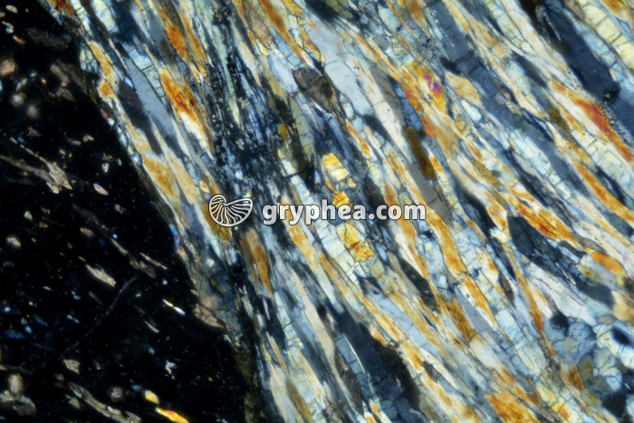 Schiste à grenats et glaucophane LPA x25 - gryphea.org